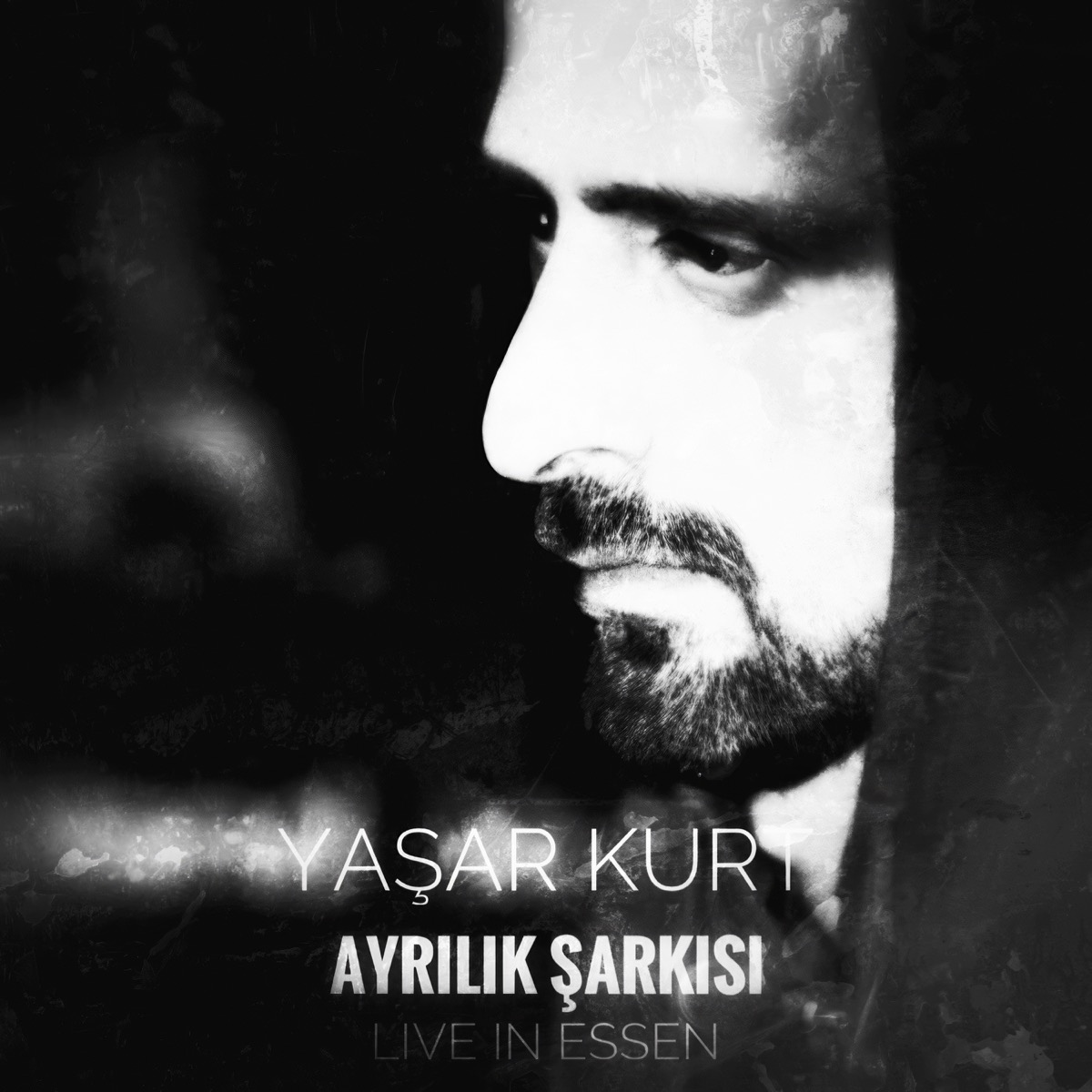 Ayrılık Şarkısı Live in Essen kapak görseli